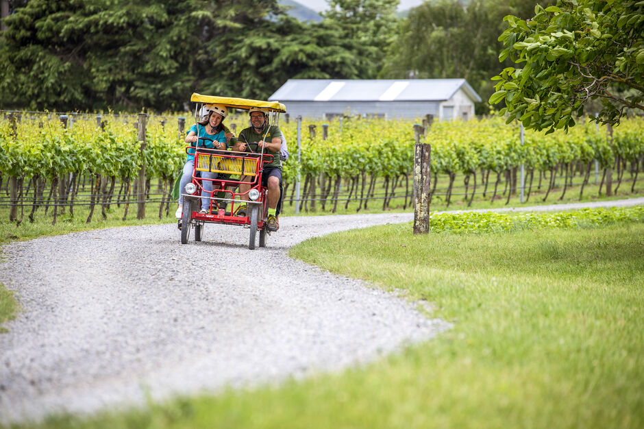 Cycling through the vines in Martinborough