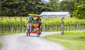 Cycling through the vines in Martinborough