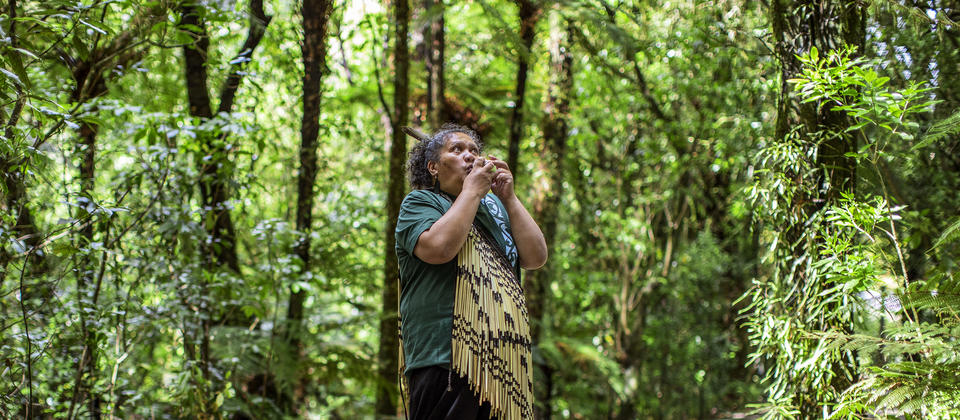 Bird call at Pūkaha National Wildlife Centre, Mount Bruce