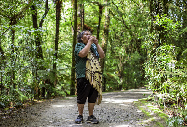 Cheeky kākā, friendly takahē and giant eels will have you reaching for your camera. Pūkaha National Wildlife Centre promises you some extraordinary wildlife encounters.