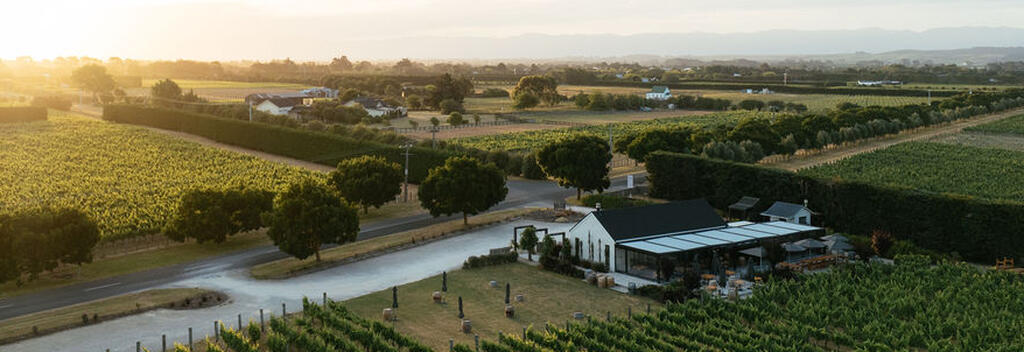 Moy Hall Vineyard, Martinborough