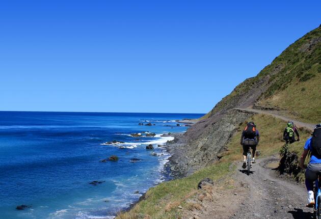 You'll find a range of cycling experiences in Wairarapa - everything from riding through vineyards to riding on rugged beaches is on offer.