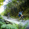 This cycle trail cuts through the bush-clad Rimutaka Mountain Range, passing through tunnels on an old rail trail.