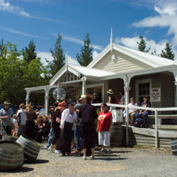 There are more than 50 wineries in the Wairarapa region, and the Wairarapa