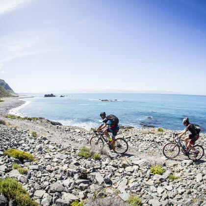 The rugged South Coast is a section of Remutaka Cycle Trail.