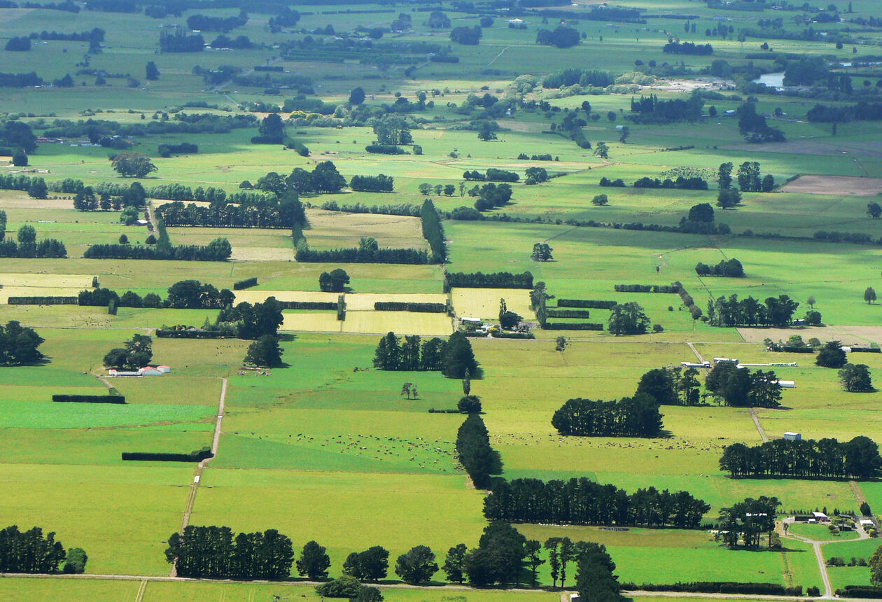 水仙の町カータートンには、アンティークショップや歴史あるコテージなどの見所があります。タラルア森林公園の大自然を体験することもできます。