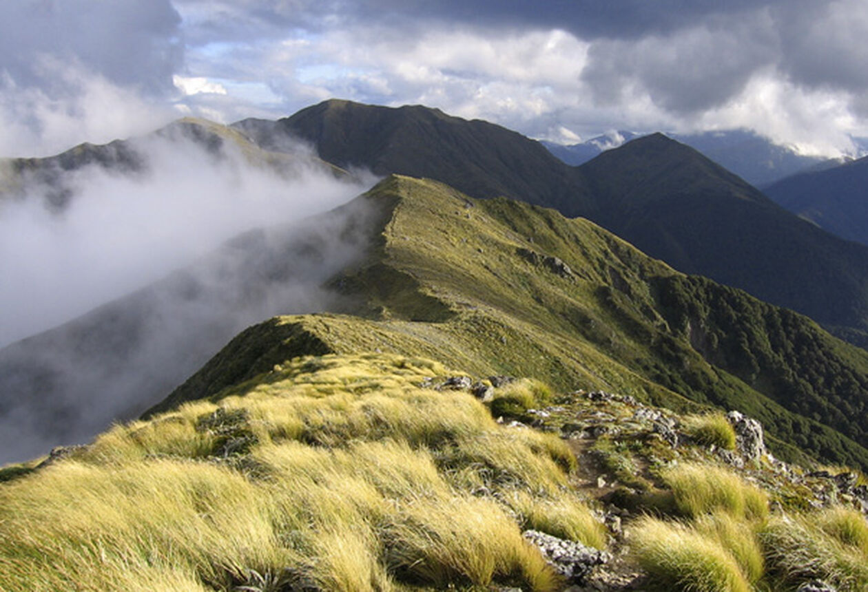 Pack a picnic basket for a day trip or gear up for a three day hike - this section of the Tararua Forest Park has something for everyone.