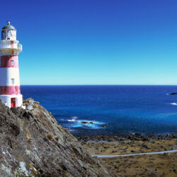 Lighthouse at Cape Palliser, Wairarapa