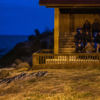 Oamaru Blue Penguin Colony