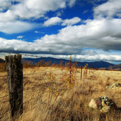 Ōmarama is a gem of the South Island located near the southern end of the Mackenzie Basin