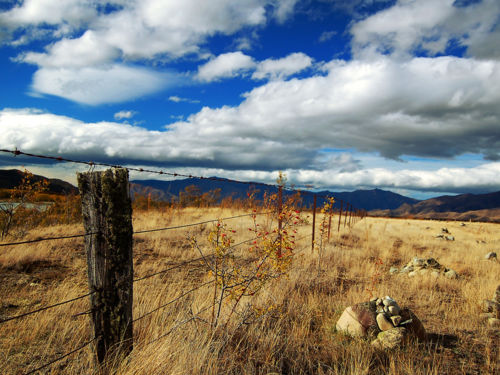 Ōmarama is a gem of the South Island located near the southern end of the Mackenzie Basin