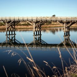 Kakanui Bridge
