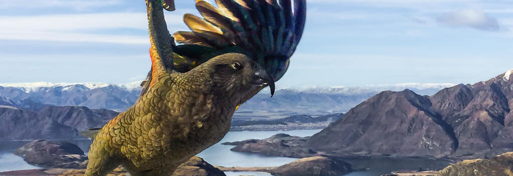 Kea, Treble Cone