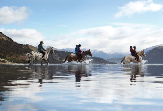 在新西兰随便哪个山区，当地的农夫都会告诉你，要游走崎岖的荒野山地，最好的办法就是骑马。