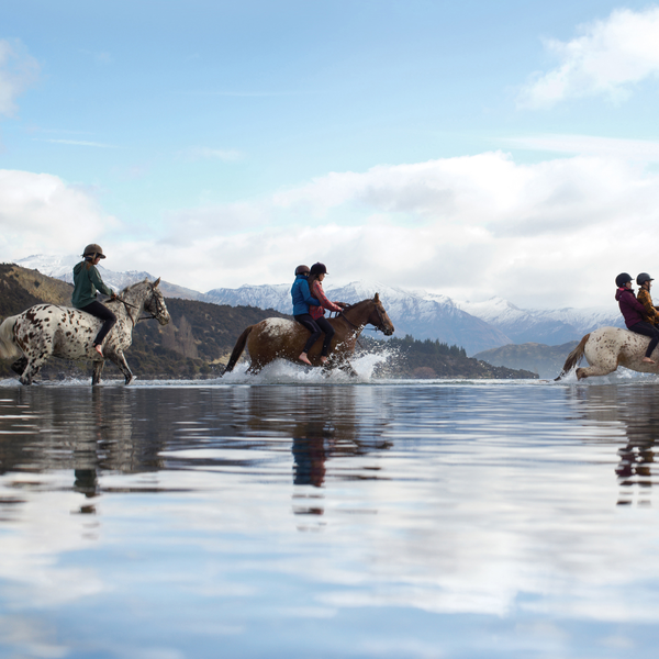 Horse riding in the Clutha River, Wanaka