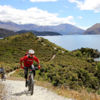 Winding hrough bush and beaches and past vineyards and farms, the Glendhu Bay Track is a singletrack mountain bike trail in Wanaka.