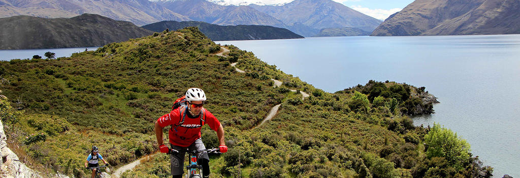 Winding hrough bush and beaches and past vineyards and farms, the Glendhu Bay Track is a singletrack mountain bike trail in Wanaka.