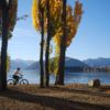 Starting as an easy ride, the Wanaka Lakeside Tracks gradually become more challenging - climbing to higher lookouts.