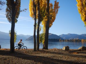Starting as an easy ride, the Wanaka Lakeside Tracks gradually become more challenging - climbing to higher lookouts.