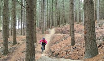 ワナカから自転車でそのままアクセスできる松林の中でバラエティに富んだ起伏あるトレイルを走りまわりましょう。