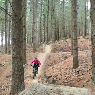 ワナカから自転車でそのままアクセスできる松林の中でバラエティに富んだ起伏あるトレイルを走りまわりましょう。