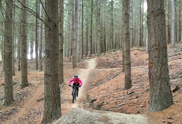 This smorgasbord of undulating pine forest mountain biking trails is within freewheeling distance of Lake Wanaka and all its visitor-friendly attractions.