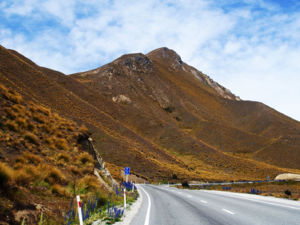 A highlight of your South Island road trip
