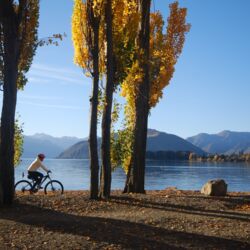 Starting as an easy ride, the Wānaka Lakeside Tracks gradually become more challenging - climbing to higher lookouts.