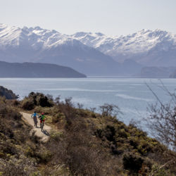 Part of the Wānaka Lakeside Tracks network, the Glendhu Bay Track offers spectacular views of Lake Wānaka and Mount Aspiring.
