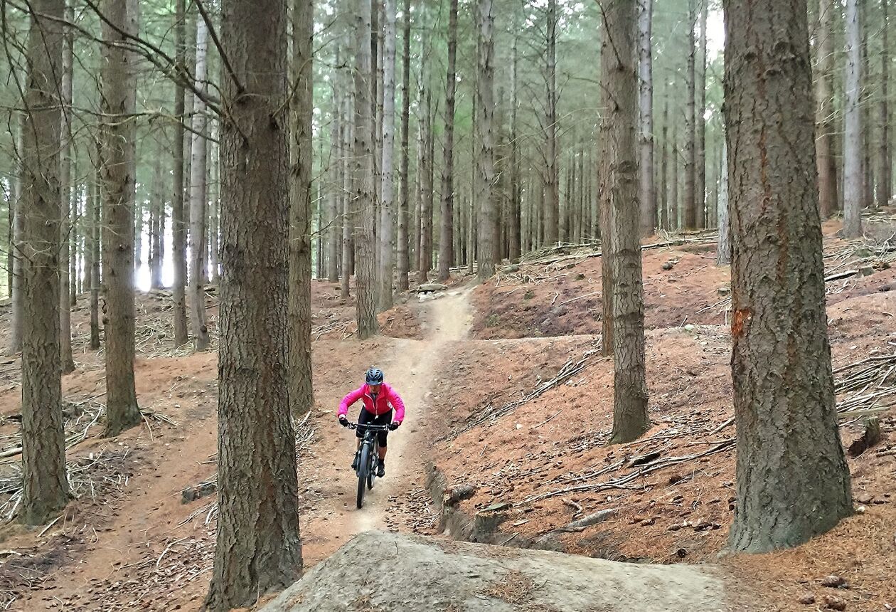 This smorgasbord of undulating pine forest mountain biking trails is within freewheeling distance of Lake Wānaka and all its visitor-friendly attractions.