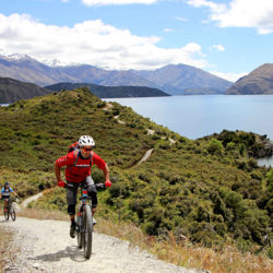 Winding hrough bush and beaches and past vineyards and farms, the Glendhu Bay Track is a singletrack mountain bike trail in Wānaka.