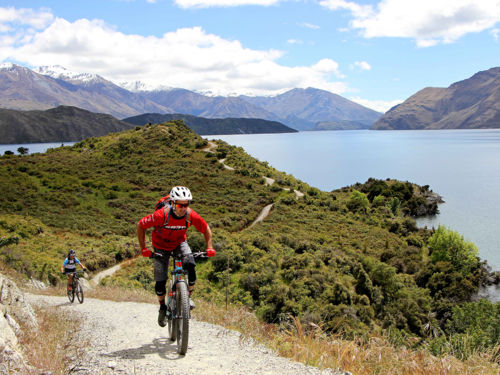 Winding hrough bush and beaches and past vineyards and farms, the Glendhu Bay Track is a singletrack mountain bike trail in Wānaka.