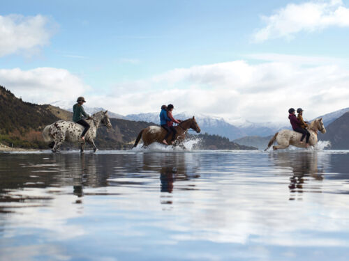 와나카의 클루서 강에서 말타기