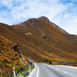 A highlight of your South Island road trip