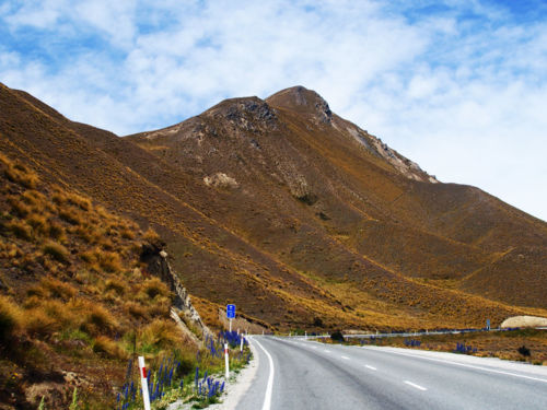 A highlight of your South Island road trip