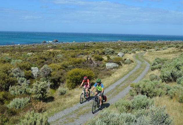 Entdecke auf dem Remutaka Cycle Trail die wilde Seite von Wellington und Wairarapa. Genieße eine Vielzahl von Eindrücken und Landschaften wie bewaldete Hügel, ländliche Gebiete, Seen, eine Robbenkolonie und zahlreiche Weingüter.  