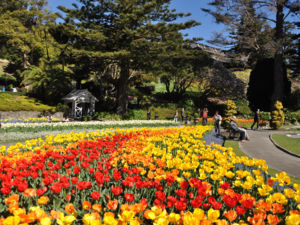 Botanical Gardens in spring