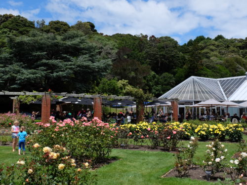 Wellingtons Botanischer Garten Wellington New Zealand