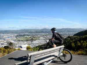 Cyclist overlooking petone and gracefield