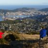 You'll enjoy excellent views when you walk the track on Mt Kaukau - one of the city's many walkways that forms part of the Town Belt.