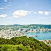 Get a panoramic view of city and harbour, and a great photo opportunity at the Mount Victoria Lookout.