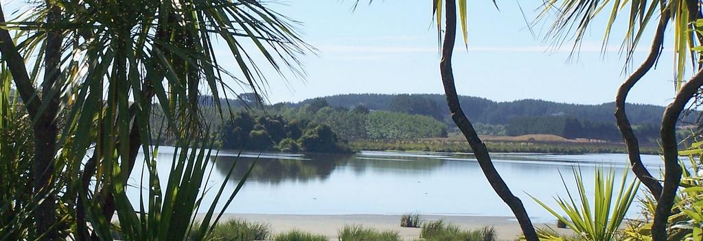 A few kilometres inland, on the Horowhenua coastal plain, lies Papaitonga Scenic Reserve and its a tranquil dune lake.
