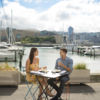 Wellington's sheltered and spectacular harbour is surrounded by a number of attractions. It is also an ideal place to relax and indulge.