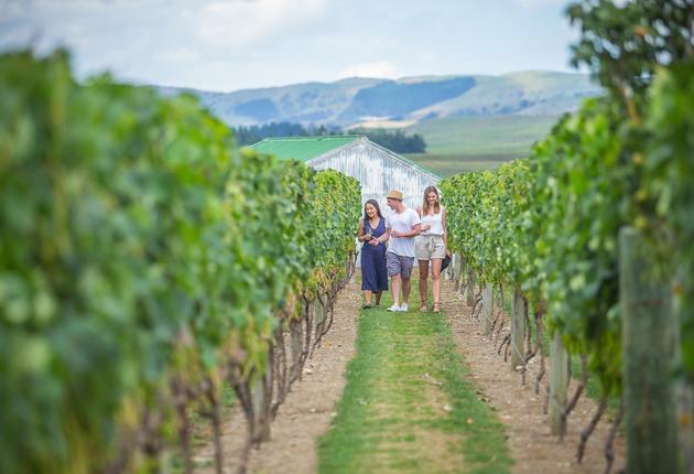 The picturesque town of Martinborough is the winery hub of the Wairarapa region. With inviting cellar doors and annual food and wine events it is the perfect place to spend a long weekend or short getaway. 