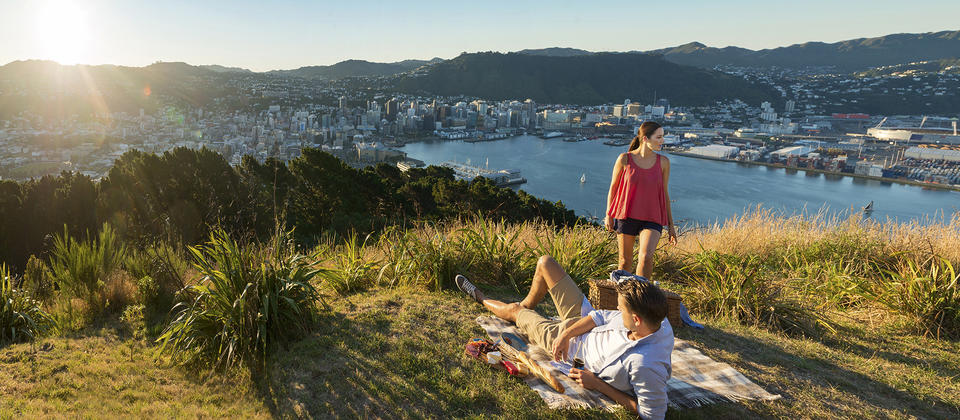 Enjoy fantastic city and harbour views from Mount Victoria in Wellington.