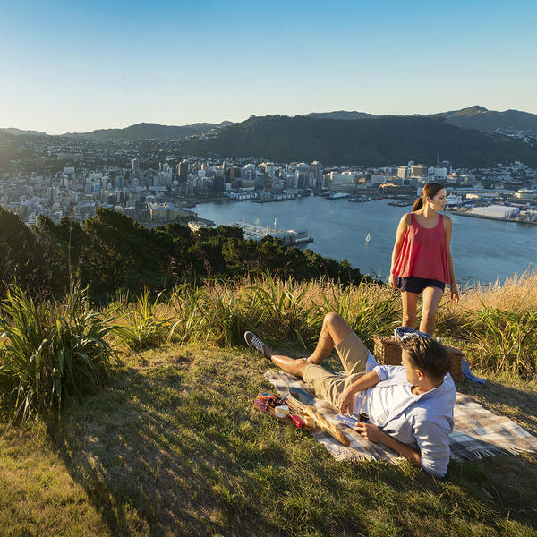 Enjoy fantastic city and harbour views from Mount Victoria in Wellington.
