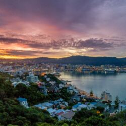Scenic view at sunset on Wellington harbour from Mt Victoria