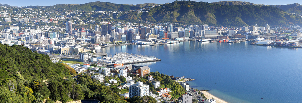 Wellington City lies on a sparkling harbor.