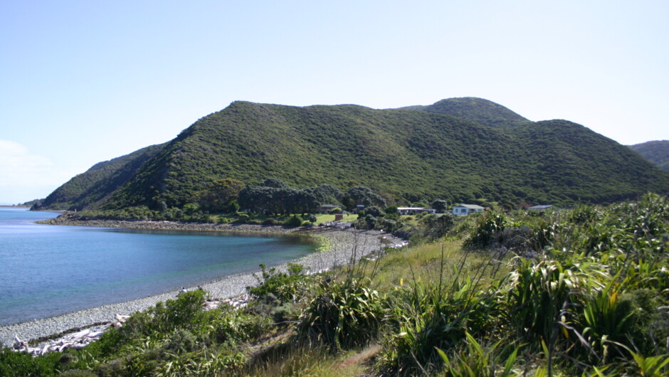 Waiorua Bay - Kapiti Island