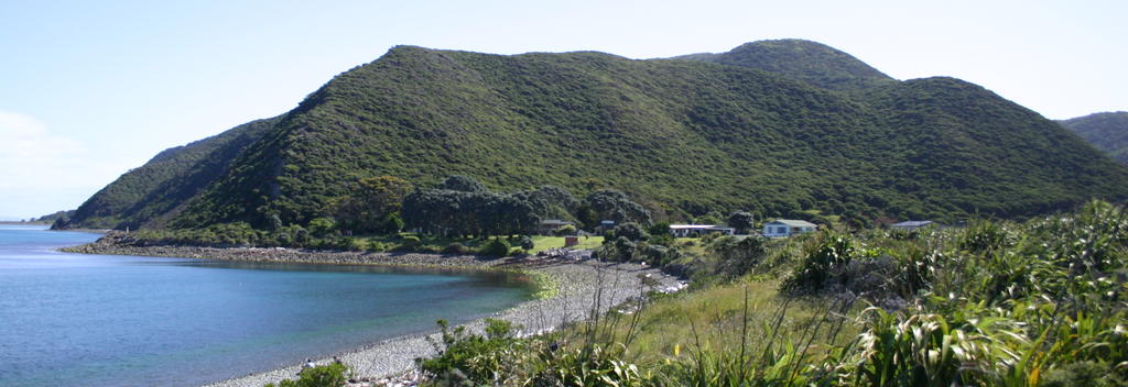 Waiorua Bay - Kapiti Island